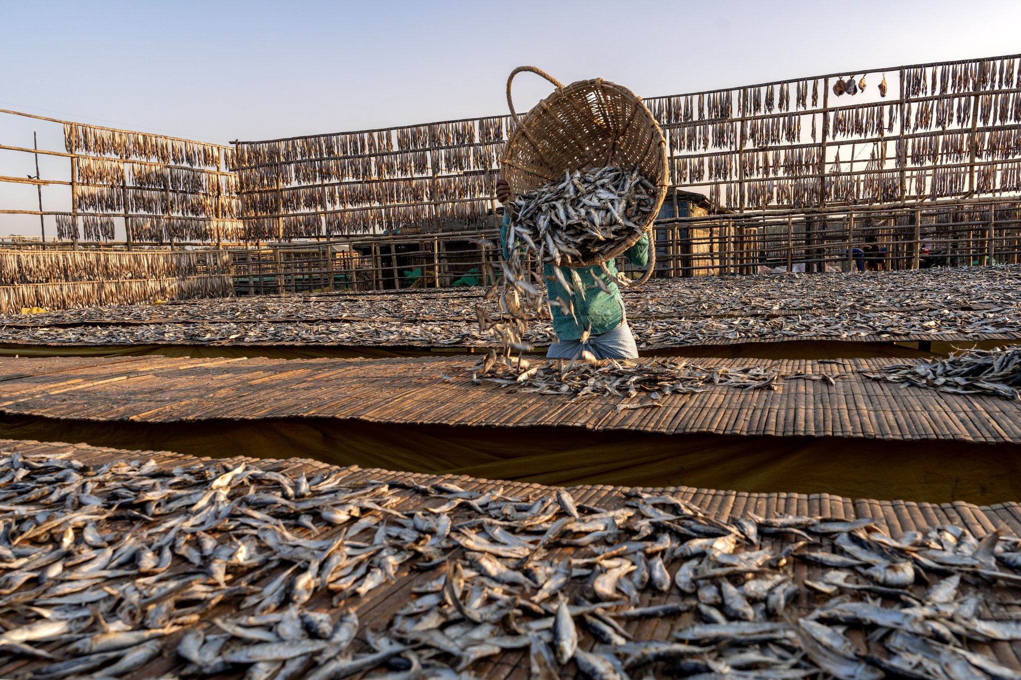 মাছে ভাতে বাঙালি