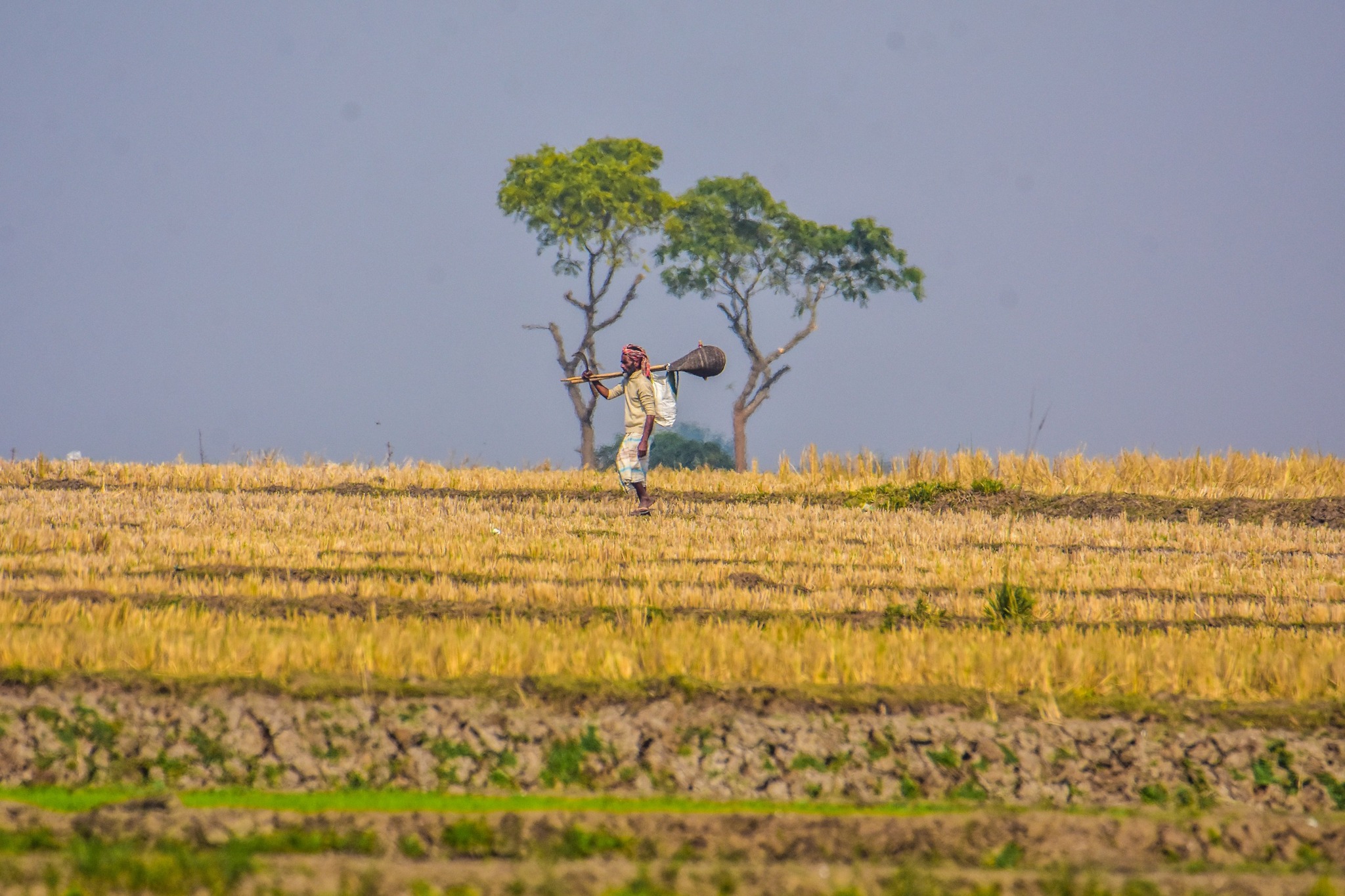 সোনার বাংলা