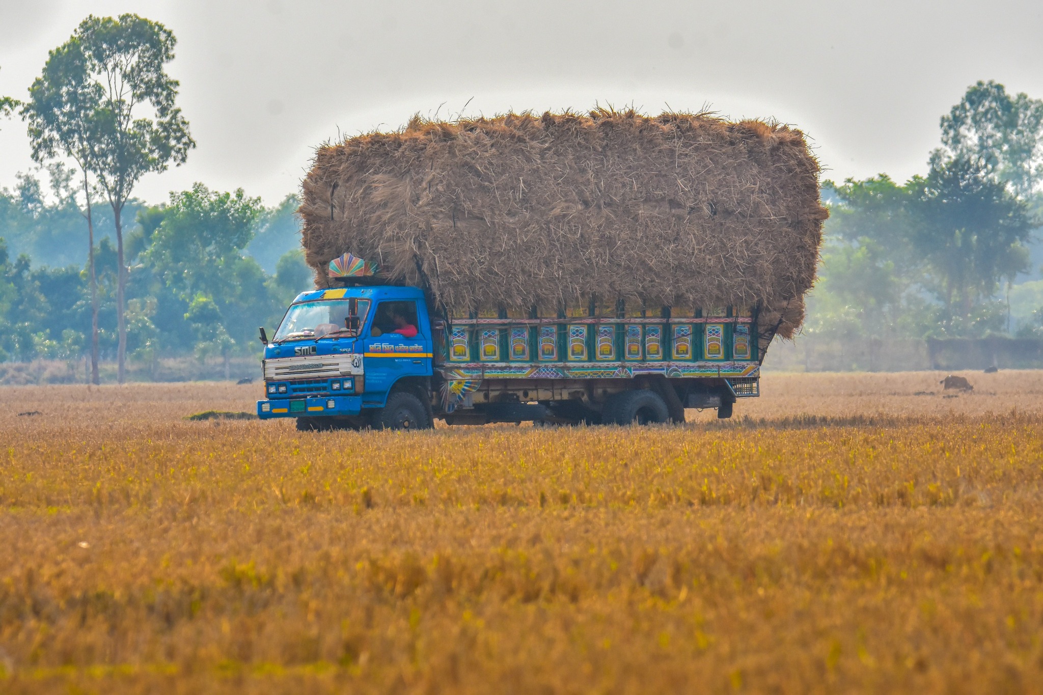 গ্রাম বাংলার রূপ ও প্রাকৃতিক সৌন্দর্য 