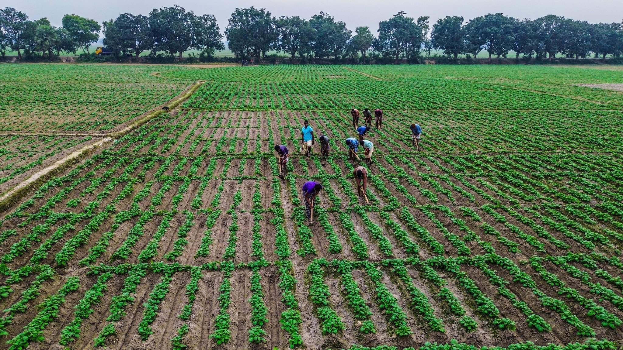 গ্রাম বাংলার রূপ ও প্রাকৃতিক সৌন্দর্য 