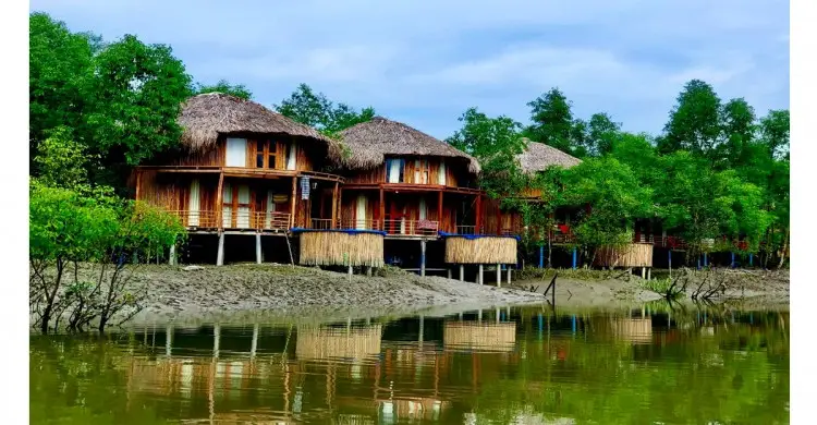 সুন্দরবনের ভিতরে থাকতে চাইলে বনলতাকে বেছে নিন, আছে বিশেষ প্যাকেজ