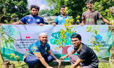 ইবিতে ছাত্রশিবিরের উদ্যোগে বৃক্ষরোপণ কর্মসূচি