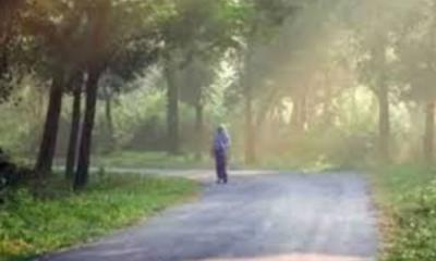 তেঁতুলিয়ায় তাপমাত্রা কমে ১৬ ডিগ্রি সেলসিয়াস