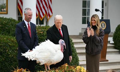 দুই টার্কি মুরগিকে আনুষ্ঠানিকভাবে ‘ক্ষমা’ করলেন ট্রাম্প