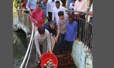 নজরুল বিশ্ববিদ্যালয়ে তিন লেকে ত্রিশ কেজি মাছের পোনা অবমুক্ত কর্মসূচি উদ্বোধন