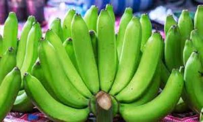 গর্ভাবস্থায় কাঁচা কলা খাওয়া কি নিরাপদ?